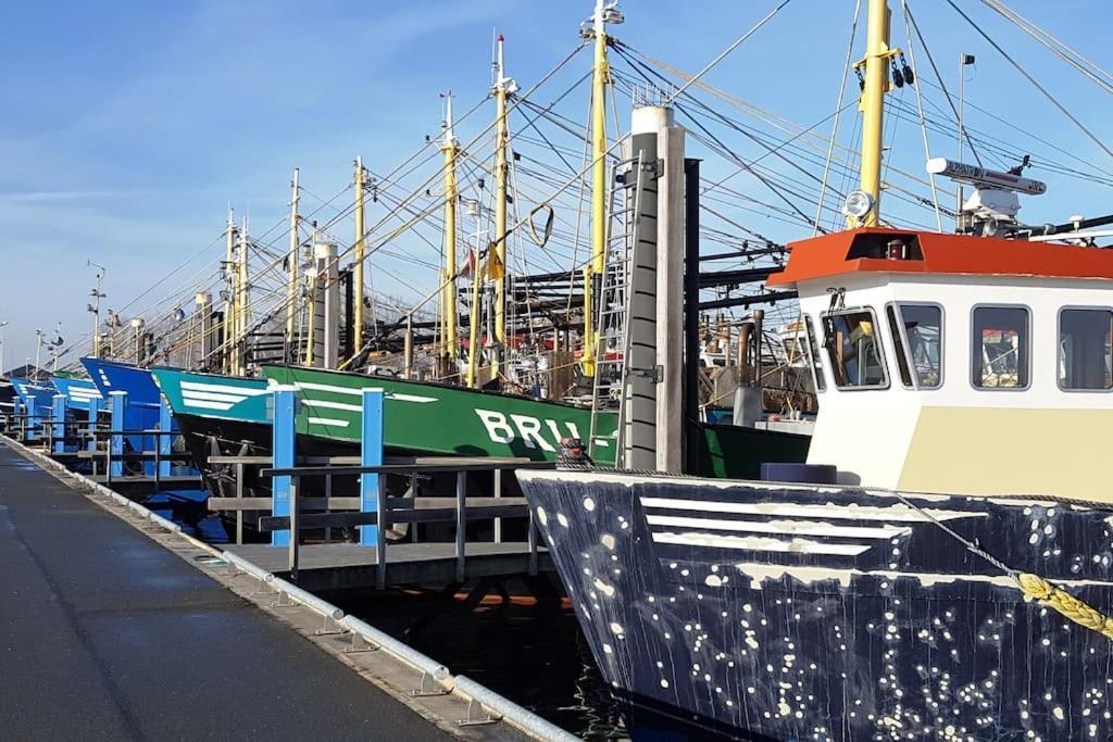 Welkom In Dekreek V59, Dem Freundlichen Vakantiehuis
